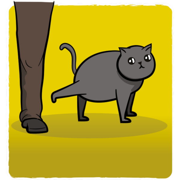 Eksplodujące Kotki grafika 1