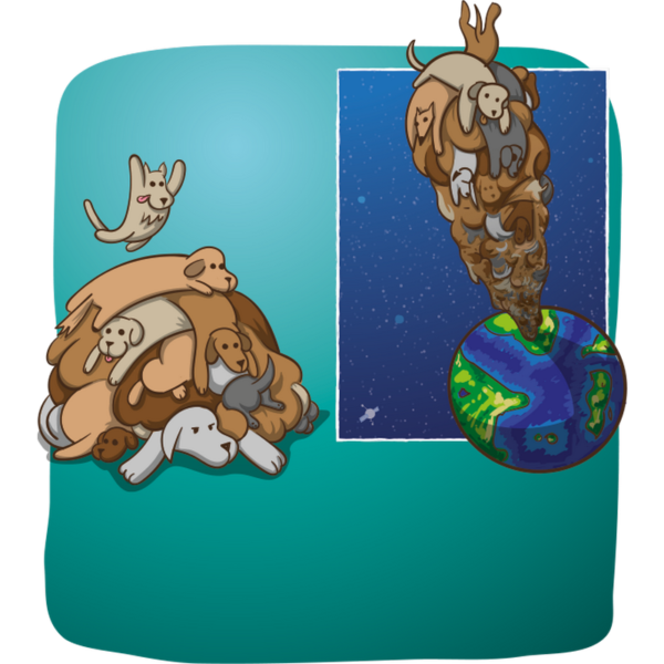 Eksplodujące Kotki grafika 9